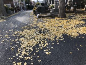 日蓮宗 松戸 本覚寺