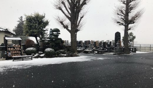 本覚寺　雪