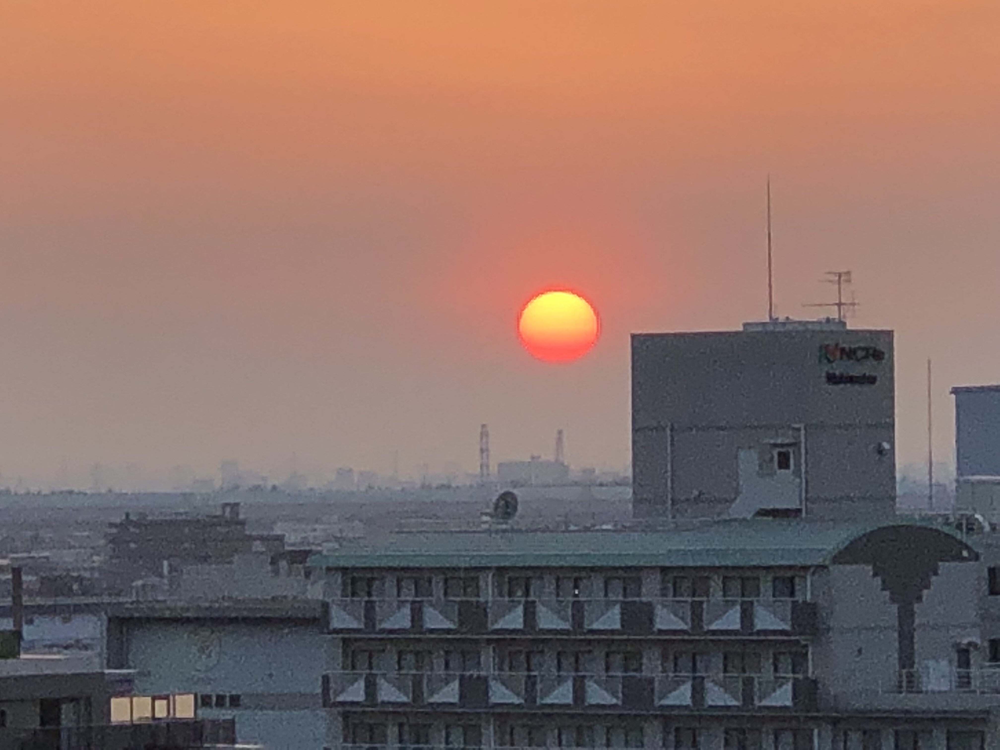 夕日