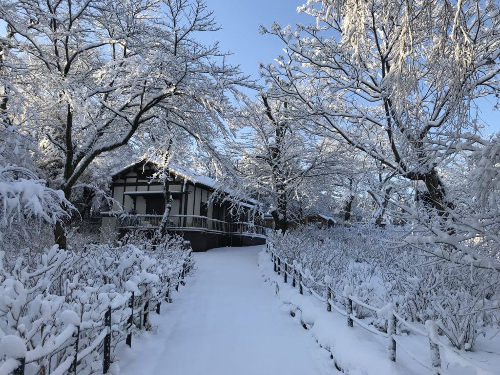 本土寺　冬