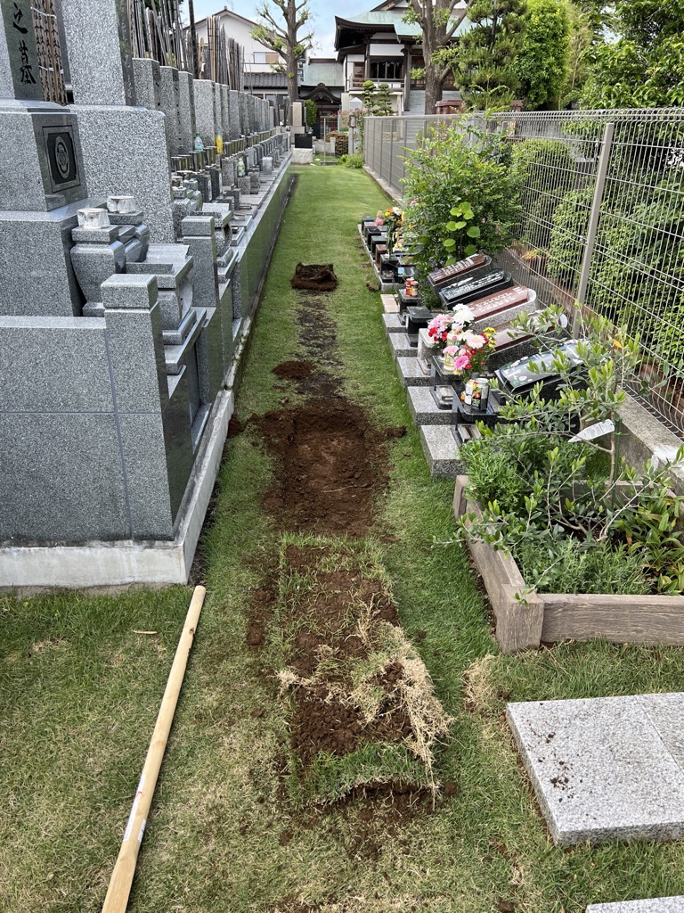北松戸樹木葬 芝生の張替え