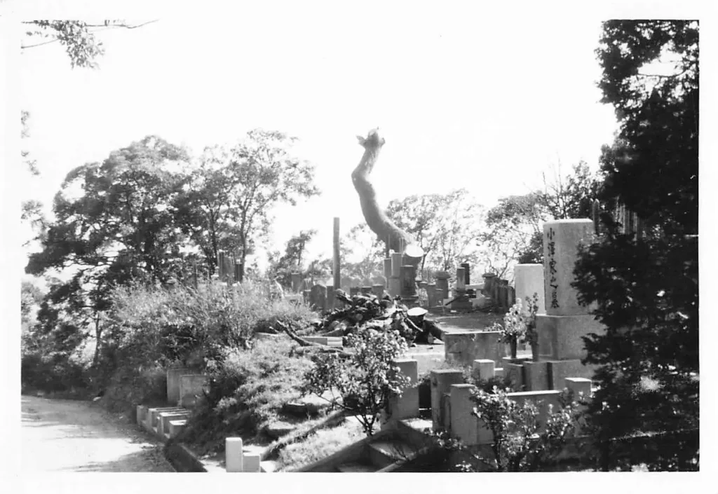 富士見の松(現在の参道入口付近から)